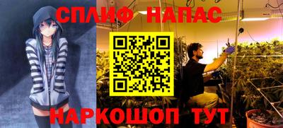 соль ск Кандалакша