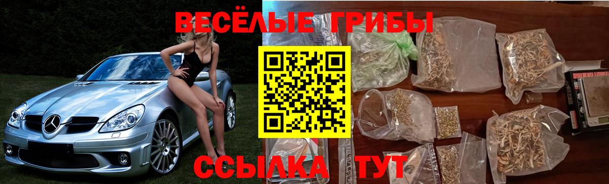 Псилоцибиновые грибы мухоморы Калуга